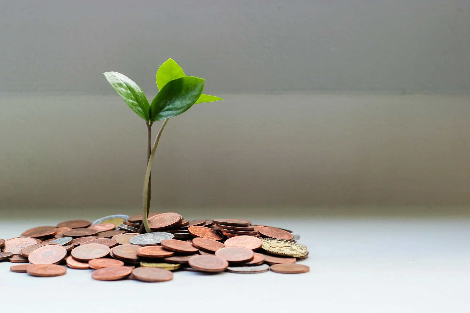 Airbnb Host Fees Explained: What Short-Term Rental Owners Actually Pay