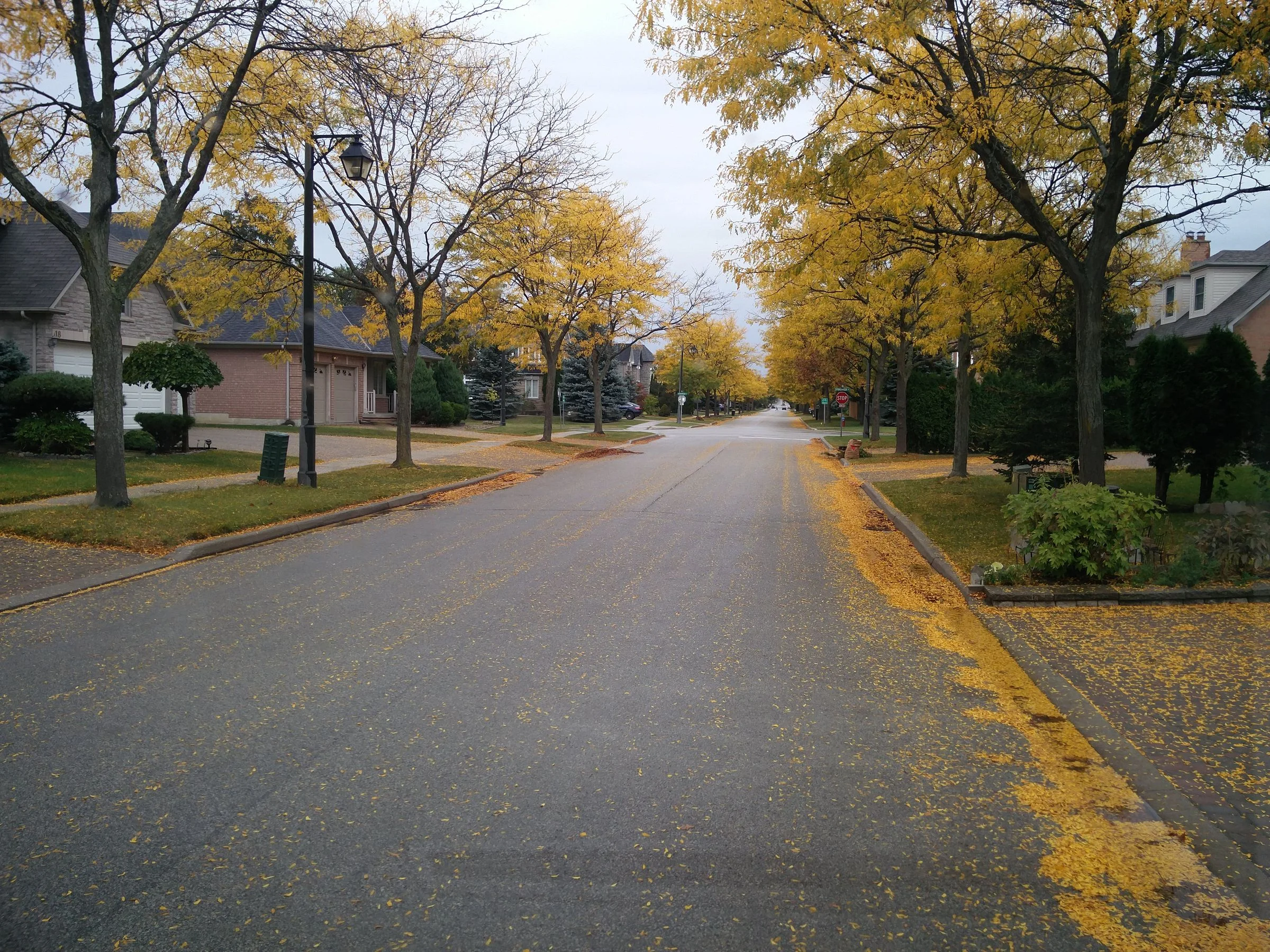 Skokie's $3,650 Rental Permit: Only 2 of 129 Paid It